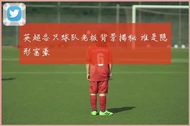 英超各只球队老板背景揭秘 谁是隐形富豪