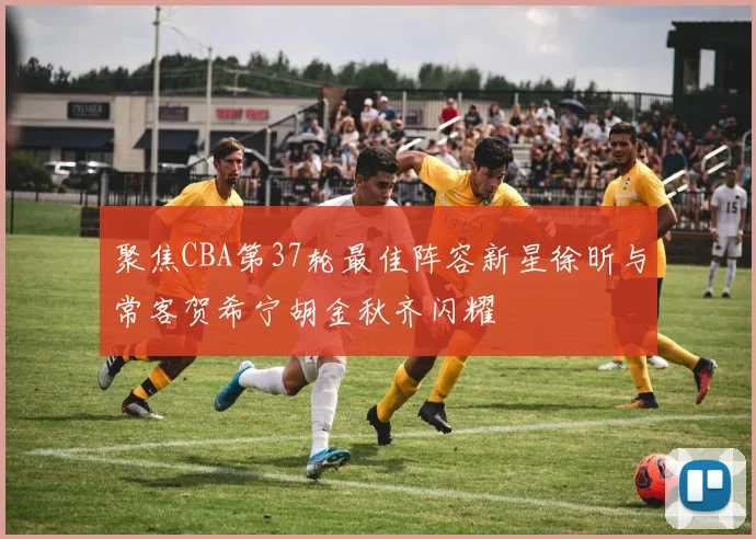聚焦CBA第37轮最佳阵容新星徐昕与常客贺希宁胡金秋齐闪耀