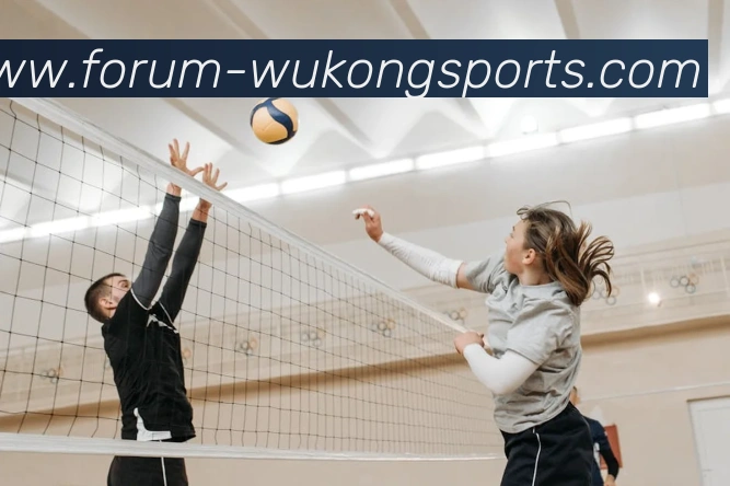 悟空体育APP 封面图